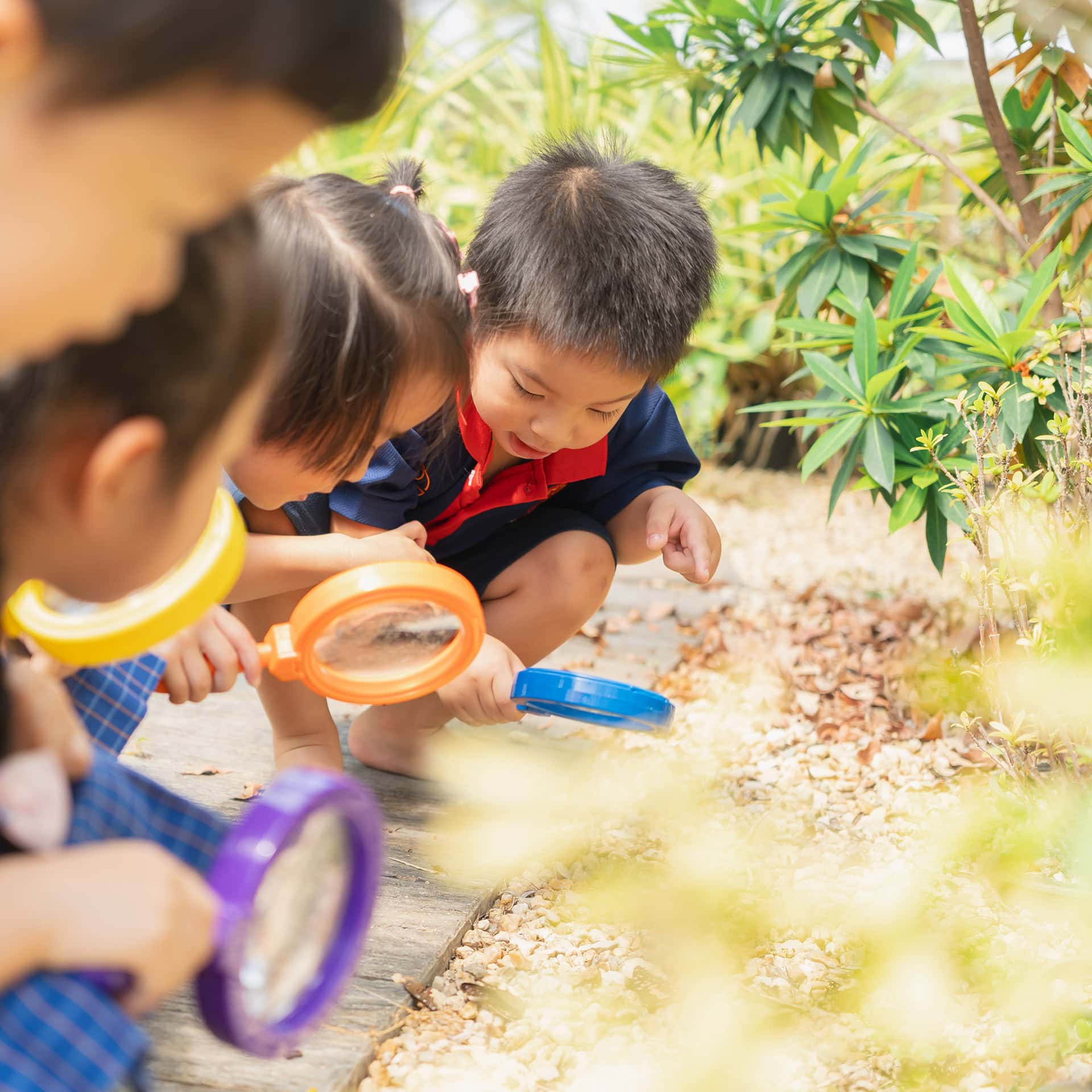 EY Butterfly Garden